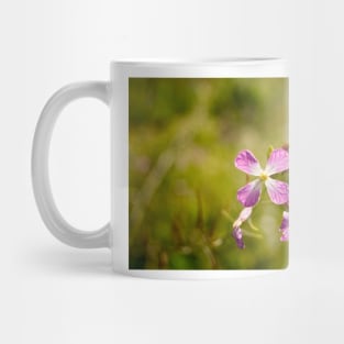 gli potato in bloom Mug